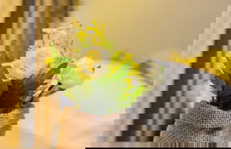 Foto 21 - Le Camere di Teo