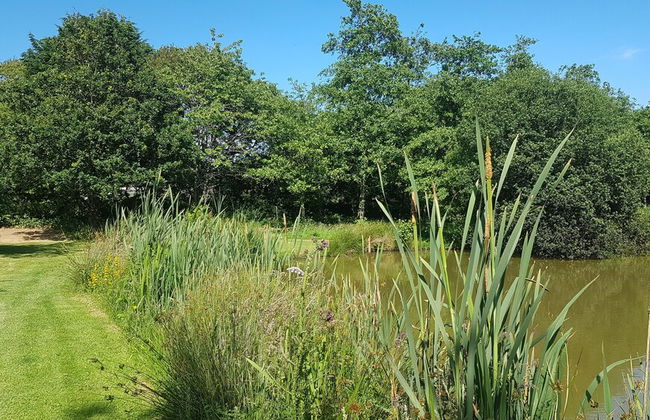 Thornbury Holiday Park - Foto 52