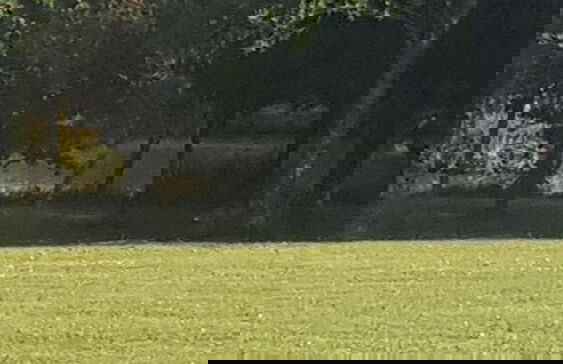 Thornbury Holiday Park - Foto 51