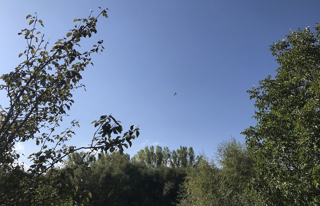 Oasi del Vetoio - Foto 22