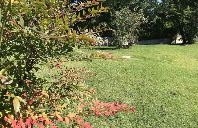 Oasi del Vetoio - Foto 29