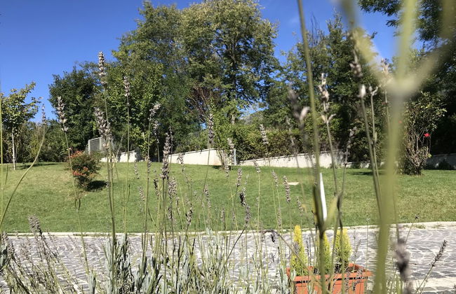 Oasi del Vetoio - Foto 28