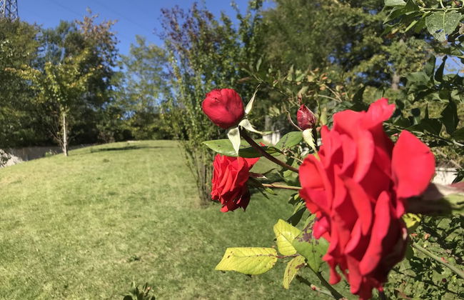 Oasi del Vetoio - Foto 27