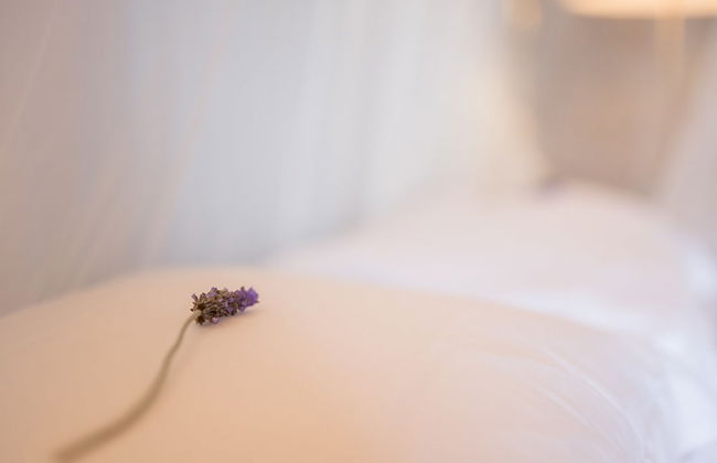 Monte Gois Country House e Spa - Foto 54
