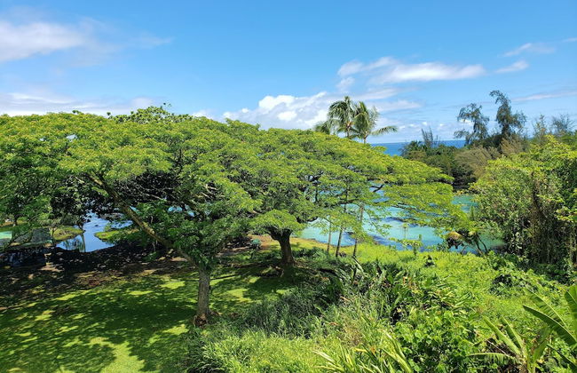 Mauna Loa Shores #405 1 Bedroom Condo by RedAwning - Foto 25