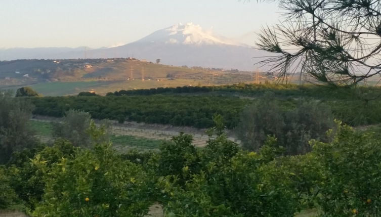 Photo 1 - Pietre di gelo dei F.lli Valenziani