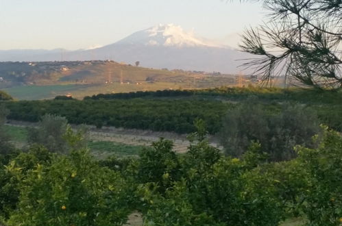 Photo 1 - Pietre di gelo dei F.lli Valenziani