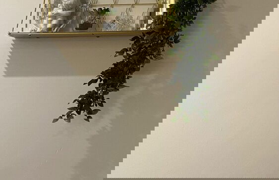 Dealhouse F7- Apartments - Foto 22