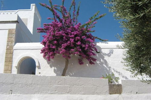 Photo 30 - Masseria Rienzo