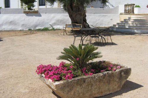 Photo 23 - Masseria Rienzo