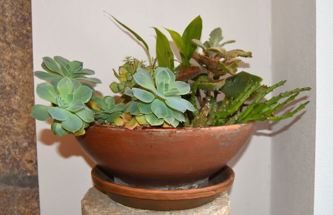 Casa de Lamas - Foto 42