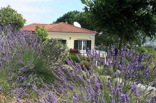 Photo 28 - Cozy Villa near Óbidos with Private Swimming Pool