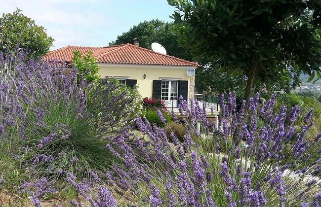 Cozy Villa near Óbidos with Private Swimming Pool - Foto 27