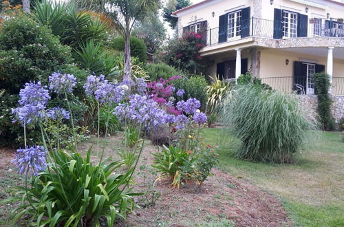 Photo 27 - Cozy Villa near Óbidos with Private Swimming Pool