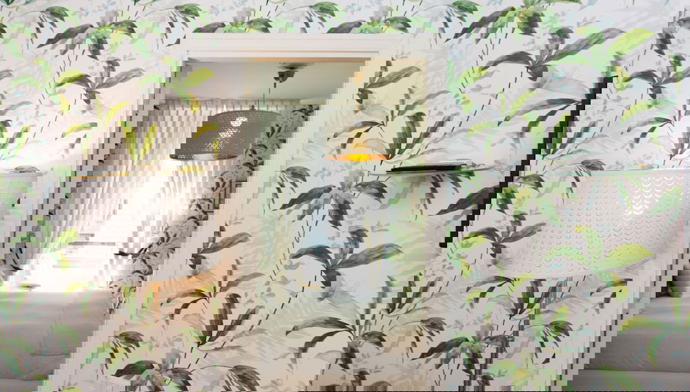 Primary image