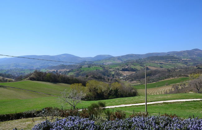 Agriturismo Villa Rosetta - Foto 50