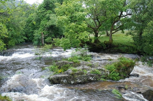 Foto 30 - Bronfelin & Troed-y-rhiw Holiday Cottages