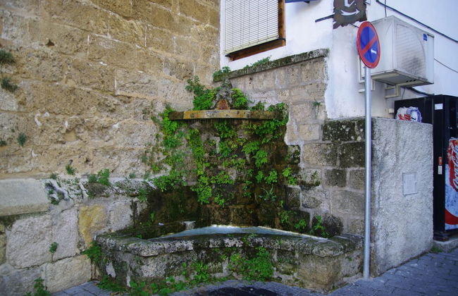 Vivienda Rural Rio Cerezuelo - Foto 42