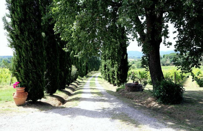 Verdidea - La Villa - Photo 69