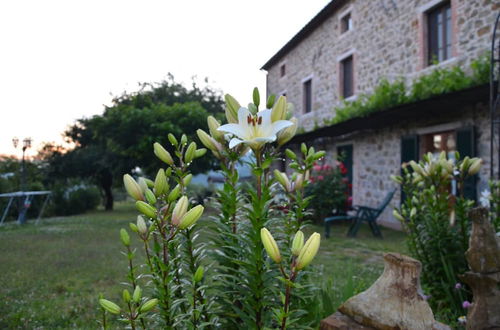 Photo 57 - Agriturismo La Marianella