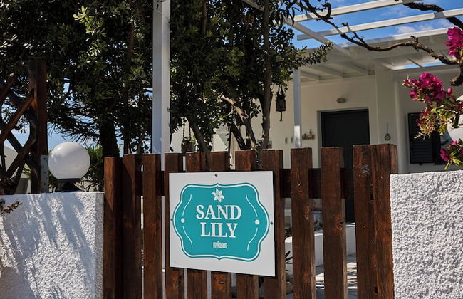 Sand Lily Mykonos - Foto 27