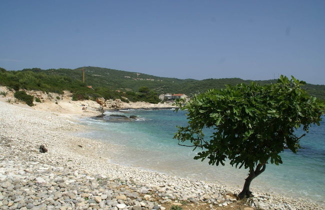 Coastal Apartment in Vis Near sea - Foto 37
