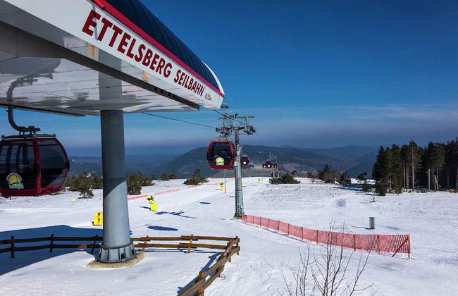 Lovely Apartment with Balcony in Willingen near Ski Lift - Foto 38
