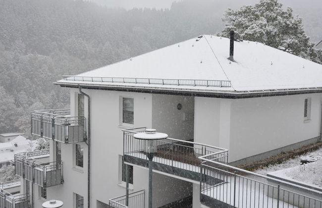 Lovely Apartment with Balcony in Willingen near Ski Lift - Foto 1