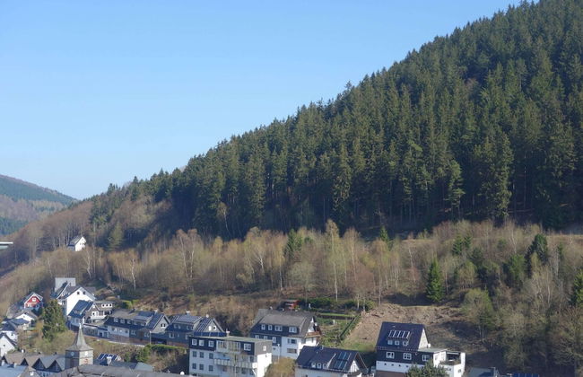 Lovely Apartment with Balcony in Willingen near Ski Lift - Foto 20