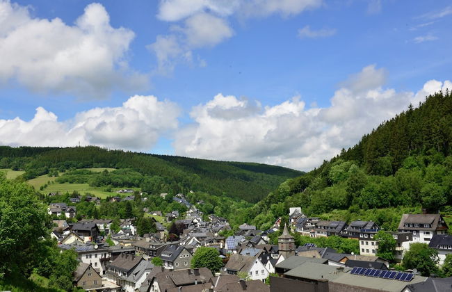 Lovely Apartment with Balcony in Willingen near Ski Lift - Foto 40