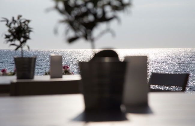 Olive Press Hotel & Apartments - Foto 45