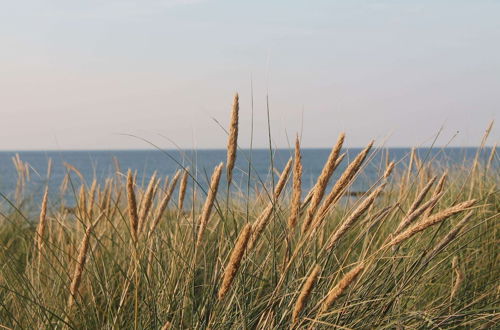 Photo 21 - Spacious Apartment With Garden in Zingst