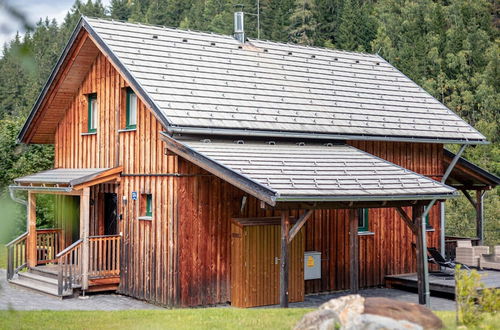 Photo 22 - Chalet in Stadl an der Mur With a Valley View