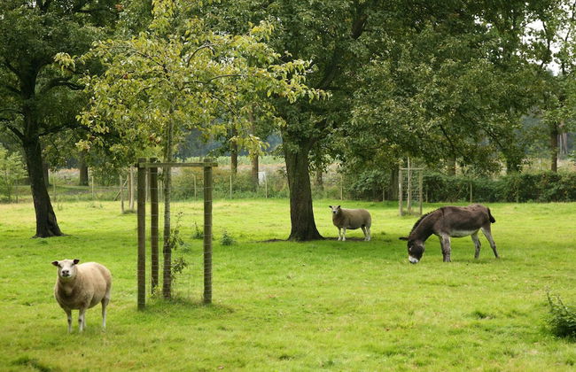 Beernem Countryside Home - Foto 33