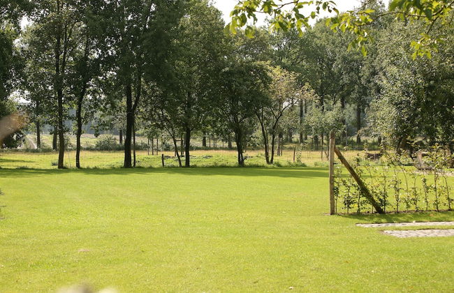 Family Farmhouse With Sauna - Foto 38