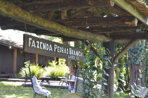 Foto 41 - Hotel Fazenda Pedras Brancas