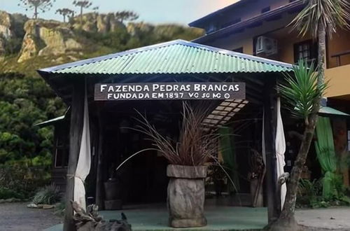 Foto 38 - Hotel Fazenda Pedras Brancas