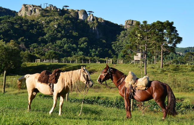 Hotel Fazenda Pedras Brancas - Foto 1