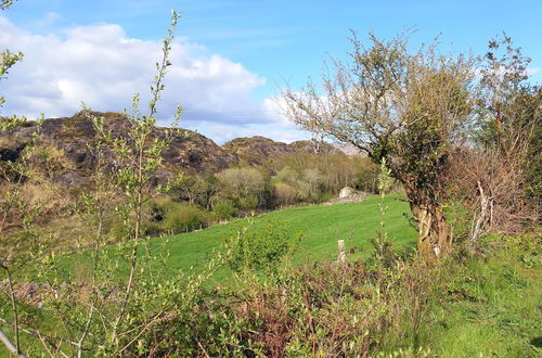 Photo 29 - Cuckoo Tree House, Glengarriff, Beara Peninsula