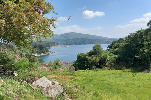 Foto 35 - Cuckoo Tree House, Glengarriff, Beara Peninsula