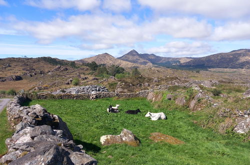 Foto 34 - Cuckoo Tree House, Glengarriff, Beara Peninsula