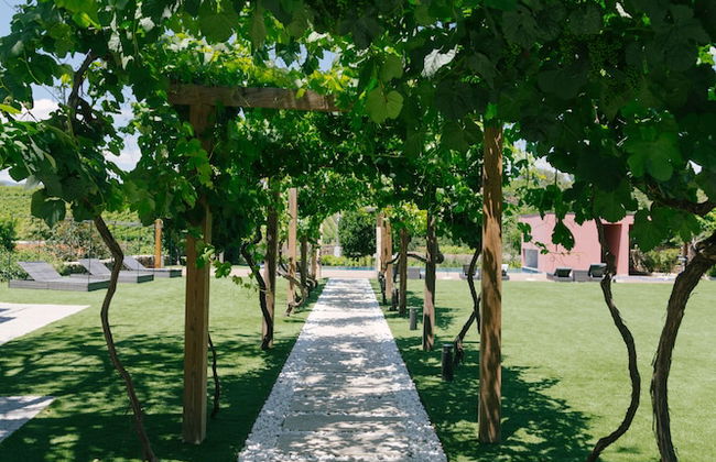 Quinta Vale de Sousa - Douro Valley - Foto 62