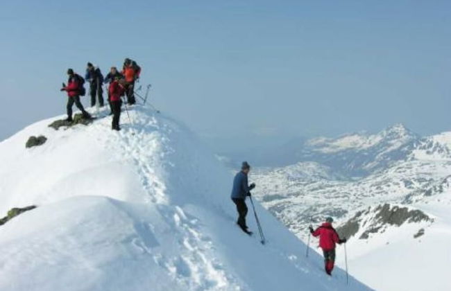 Gullesfjord Camping - Foto 60