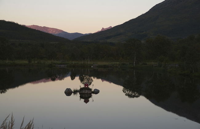 Gullesfjord Camping - Foto 69