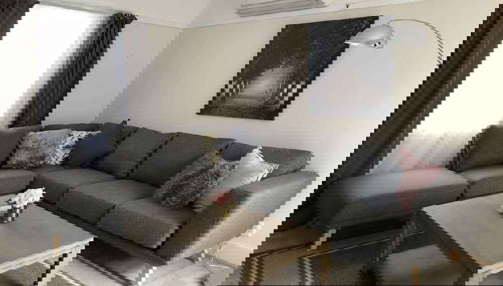 Imagem principal