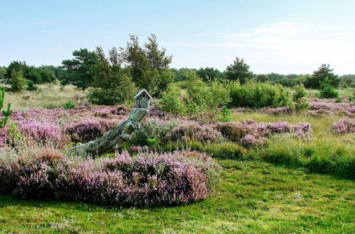 Photo 26 - Delightful Holiday Home in Rømø near Sea