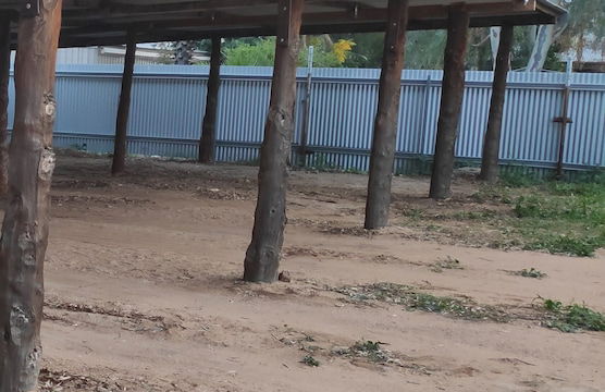 Bourke Apartments - Foto 50