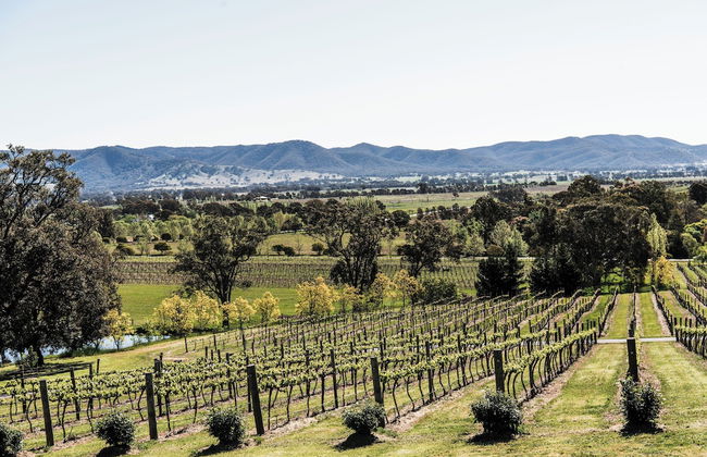 Kirsten Accommodation Mudgee - Foto 76