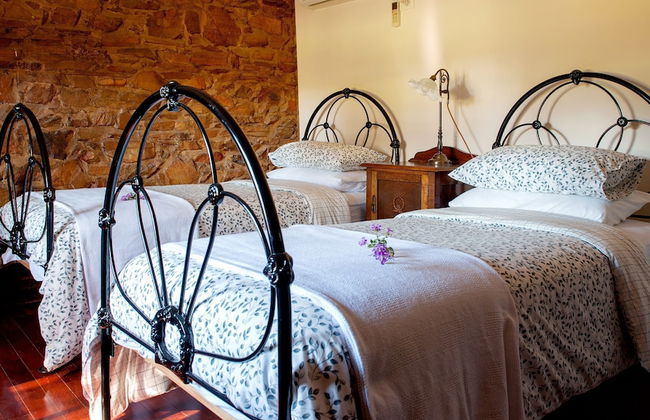 Byronsvale Vineyard and Accommodation - Foto 4