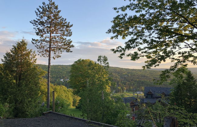 Chimo Cottage - Foto 45